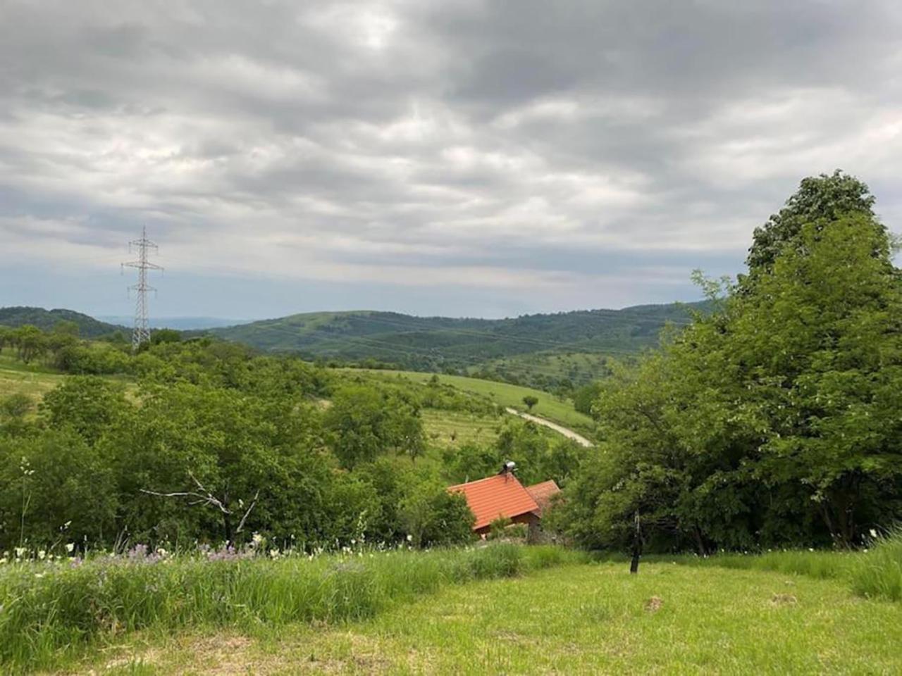 Salas U Bregu In Cheile Carasului Crasova Zewnętrze zdjęcie